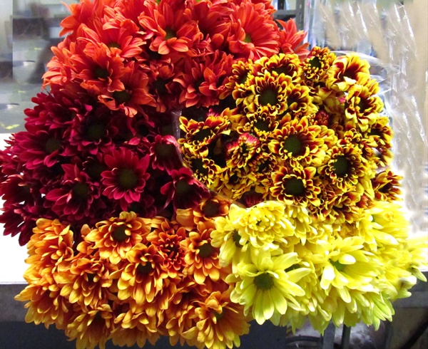 Bouquet of Red Daisy Santini Chrysanthemum