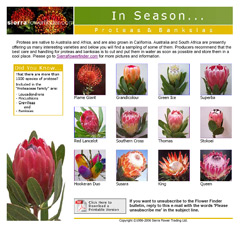 Proteas